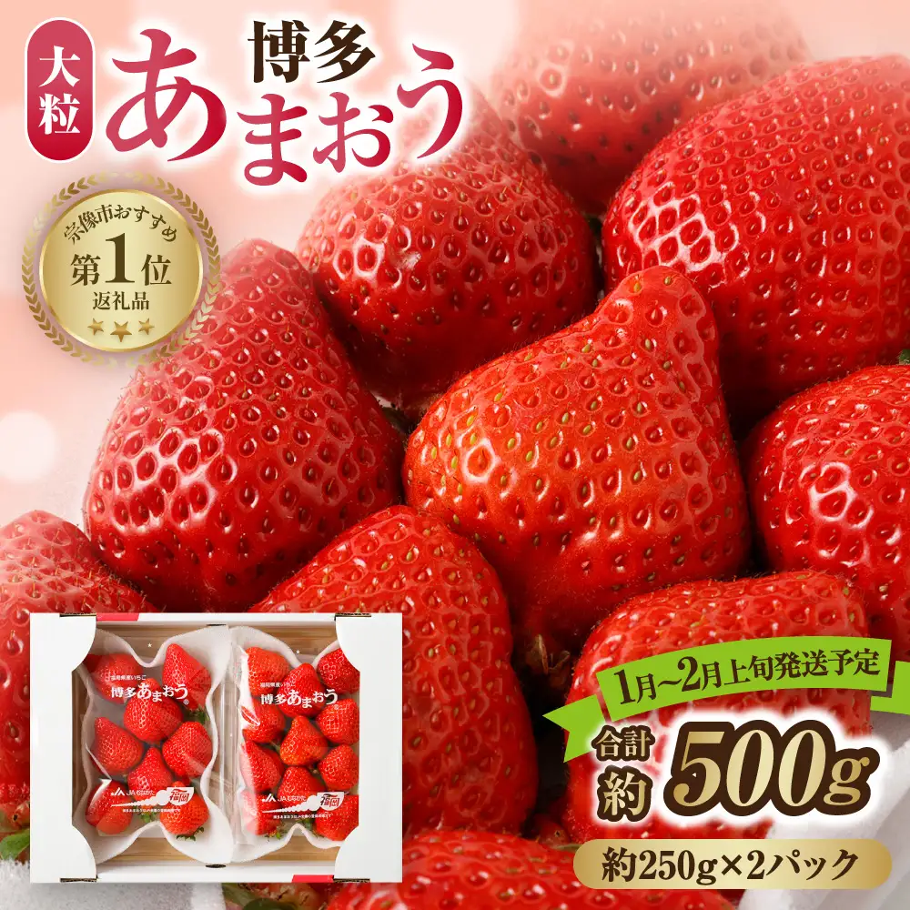 【先行予約】【アフター保証】大粒セレクト！大人気のあまおう 約250g×2パック【1月～2月上旬発送】【ほたるの里】_HA0276