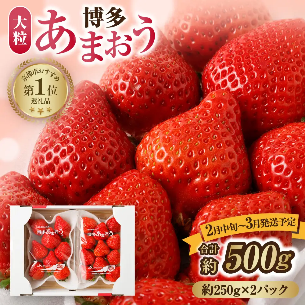 【先行予約】【アフター保証】 大粒セレクト！大人気のあまおう 約250g×2パック【2月中旬～3月発送】【JAほたるの里】_HA0277