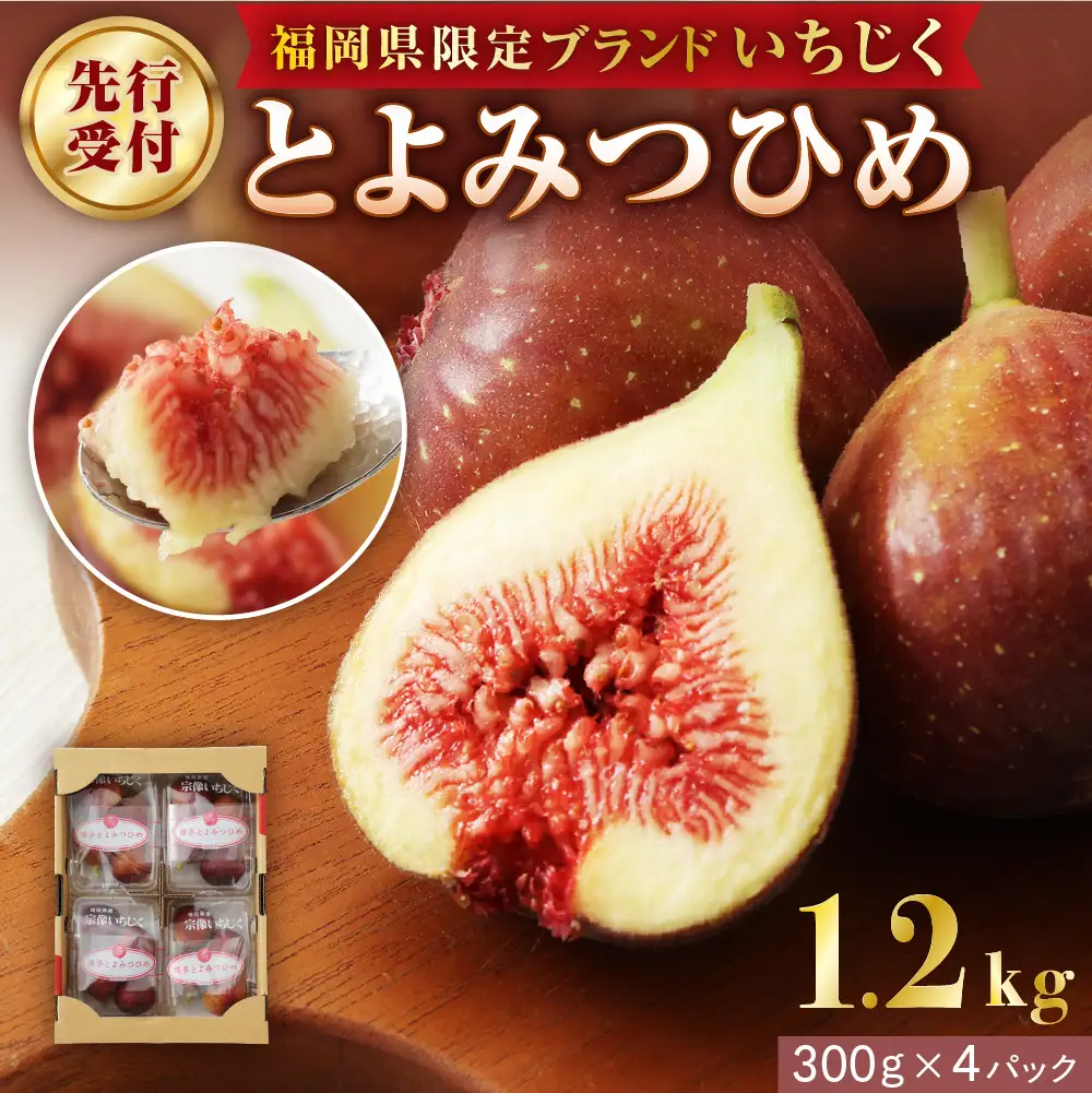 【寄附額改定!】プレミアムいちじく とよみつひめ　1.2kg【JAほたるの里】_HA0278 | いちじく 果物 
