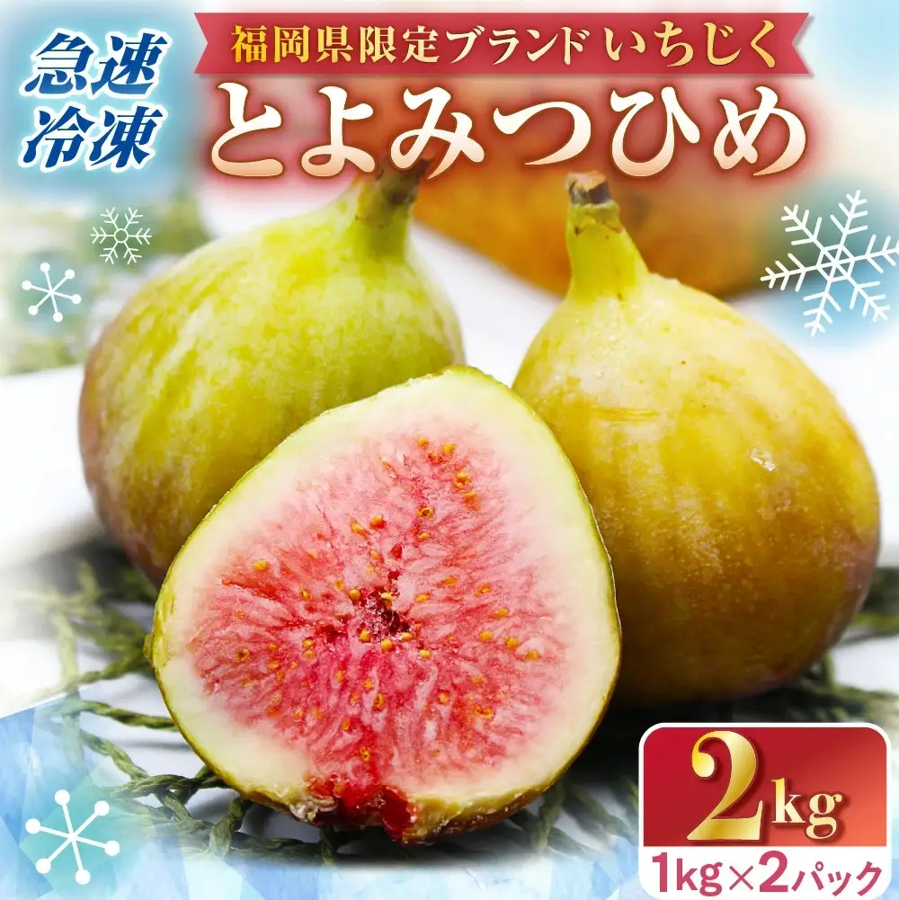 急速冷凍！福岡県特産品プレミアムいちじく「とよみつひめ」冷凍いちじく 大容量2kg【JAほたるの里】_HA0279
