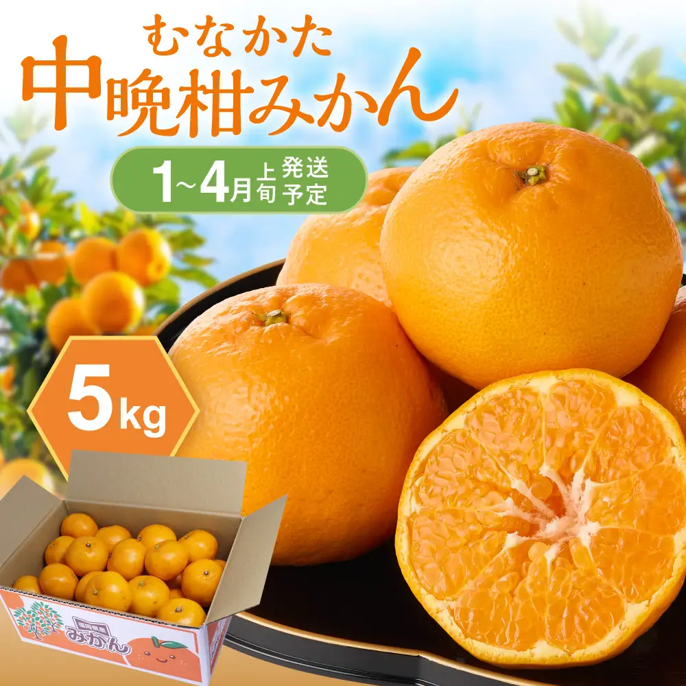 ＜2027年1月～4月上旬発送＞JAむなかたかんきつ部会が厳選したみかん（中晩柑）計5kg【JAほたるの里】_AS0280-00