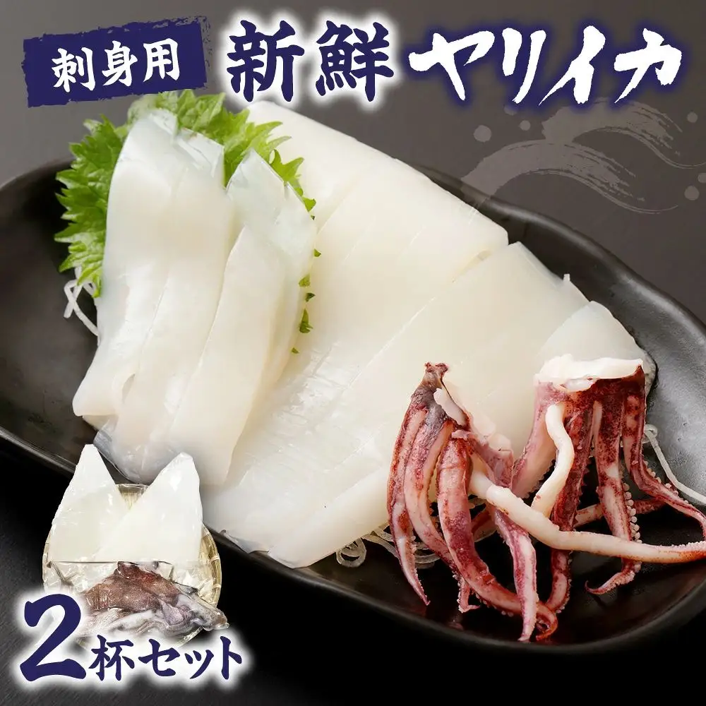 刺身用 新鮮ヤリイカ2杯セット(宗像鐘崎産)【マルケイ水産】_HA0416