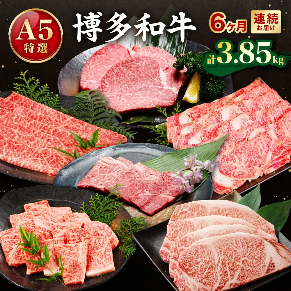 【定期便／年6回／毎月お届け】A5特選博多和牛　こだわりの6回お楽しみコース（サーロインステーキ・ヒレステーキ/しゃぶしゃぶ・すき焼き/焼肉）【伊豆丸商店】_HB0036
