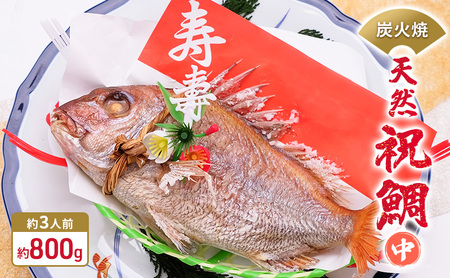 炭火焼　天然祝鯛（中）約800g【約3人前】 / 焼鯛 尾頭付き 魚貝類 タイ 真鯛 