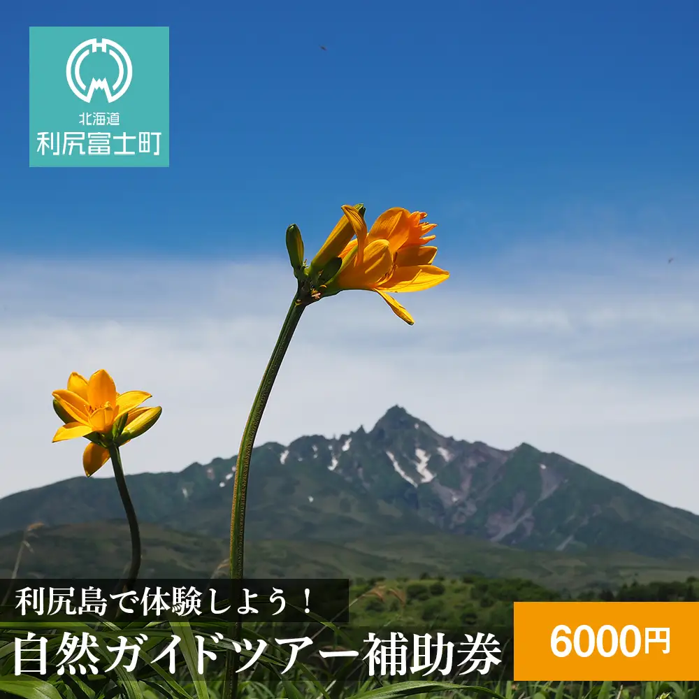 利尻島で体験しよう！自然ガイドツアー補助券（6000円）