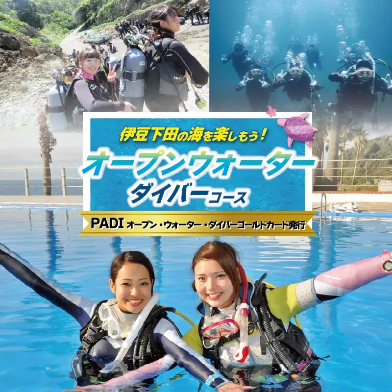 体験 チケット ダイビング PADI スクール 3日間 ゴールドカード 資格取得 ダイビング