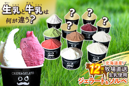 北海道産 生乳 ジェラート アイス 12個入り ジェラートセット
