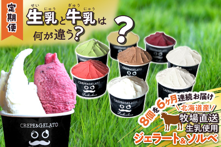 ＜6ヶ月定期便＞北海道産 生乳 ジェラート アイス 毎月8個  詰め合わせ ジェラートセット