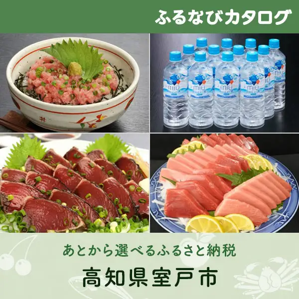 【有効期限なし！後からゆっくり特産品を選べる】高知県室戸市カタログポイント