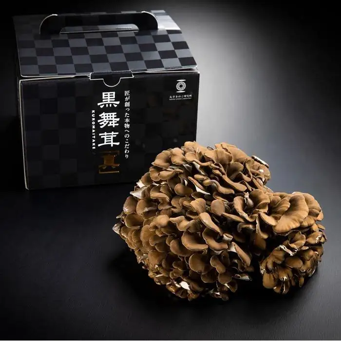 大平きのこ研究所の大黒舞茸「真」【贈答用】７００ｇ | きのこ