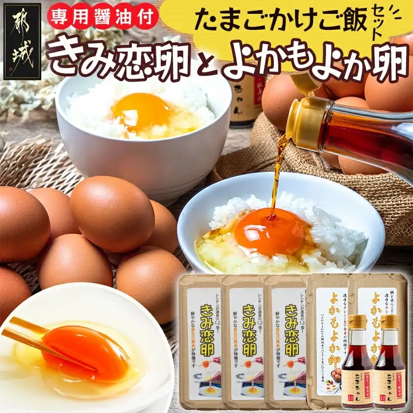「きみ恋卵」と「よかもよか卵」のたまごかけご飯セット〔12-29-002〕_(都城市) きみ恋卵 よかもよか卵 Ｍサイズ たまごかけご飯専用醤油「玉子ちゃん」 甘口 卵かけご飯 朝ごはん 朝食