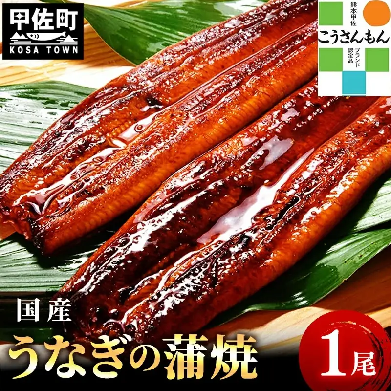 【甲佐ブランド】 うなぎ 蒲焼き 1尾 【こうさんもん認定商品】熊本産 国産 150ｇ以上 - うなぎ 鰻 蒲焼 国産 熊本産 こうさんもん 甲佐ブランド 甲佐町特産 蒲焼き ふっくら 冷凍 熊本県 甲佐町