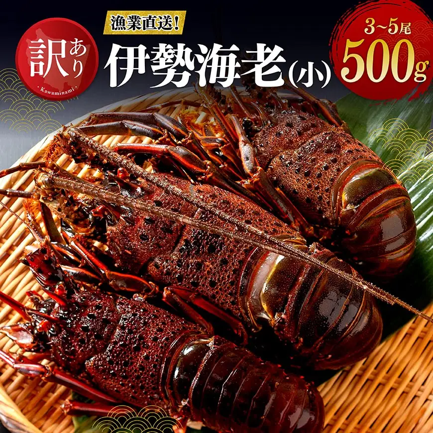 【訳あり！】【漁協直送！】冷凍伊勢海老（小）500g　(3～5尾) 【 期間限定 数量限定 魚介類 えび 伊勢えび イセエビ 日向灘 訳あり 伊勢海老 】