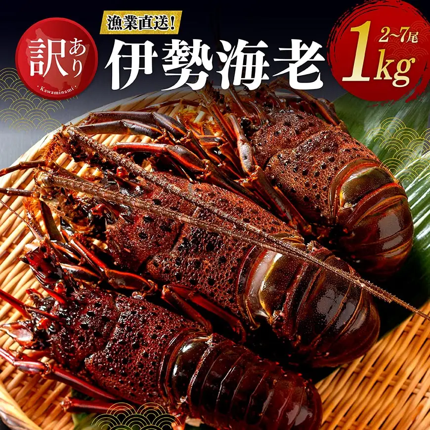 【訳あり！】【漁協直送！】冷凍伊勢海老1kg（2～7尾） 【 伊勢海老 イセエビ 訳あり 魚介 】