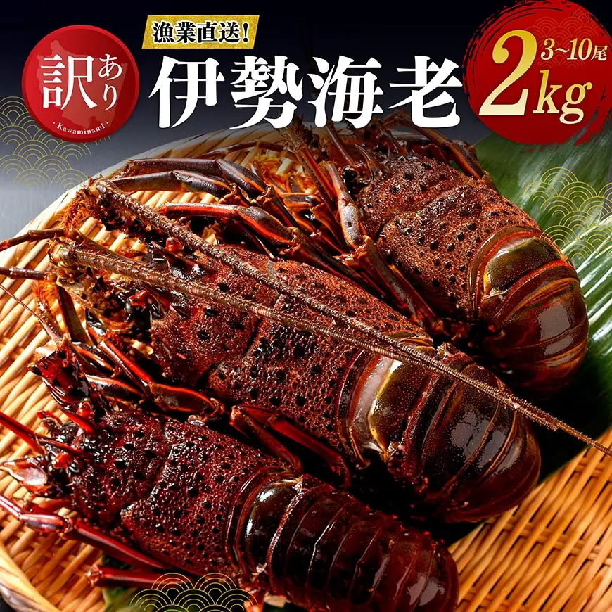 【訳あり！】【漁協直送！】冷凍伊勢海老2kg（3～10尾） 【 伊勢海老 イセエビ 訳あり 魚介 】