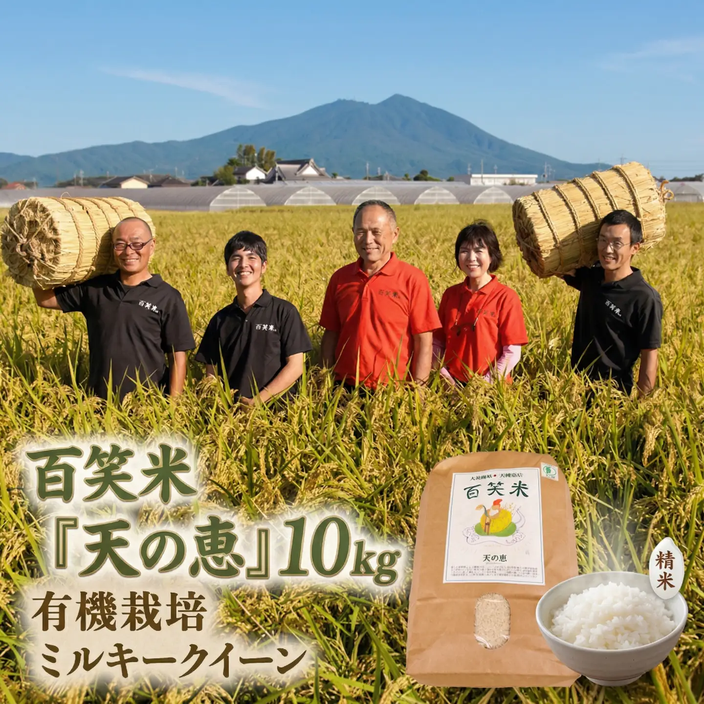 精米 百笑米 「 天の恵 」 有機栽培 ミルキークイーン 10kg R8年産 新米 米 コメ 茨城県 単一米