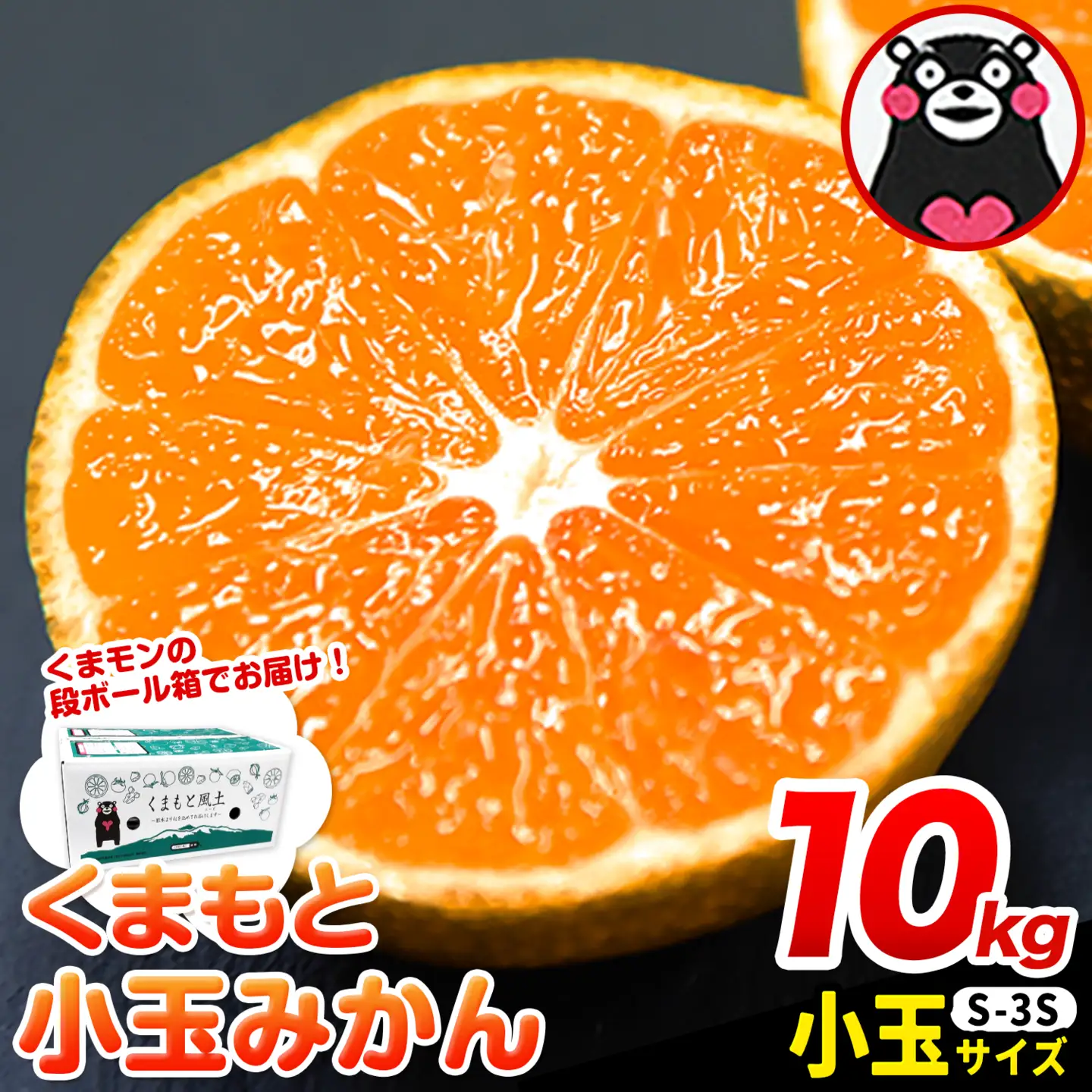訳あり くまもと小玉みかん 約10kg みかん 熊本