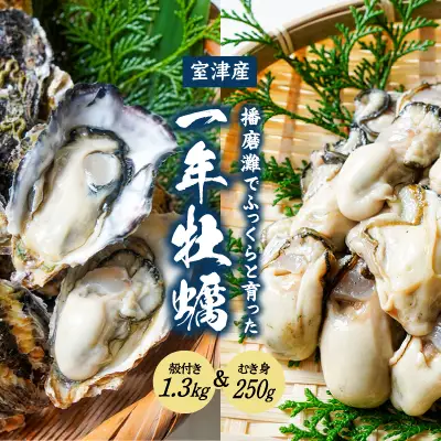 H-12【12月～3月限定】 室津産 殻付き牡蠣1.3kg + むき身250g