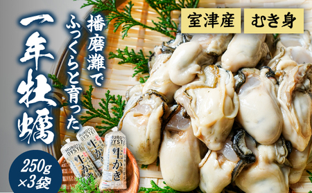 H-13【12月～3月限定】 室津産むき身牡蠣250g×3袋 