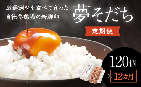 C-3【12か月定期便】お届け日時の指定可能「夢そだち120個」厳選飼料を食べて育った自社養鶏場の新鮮卵を♪