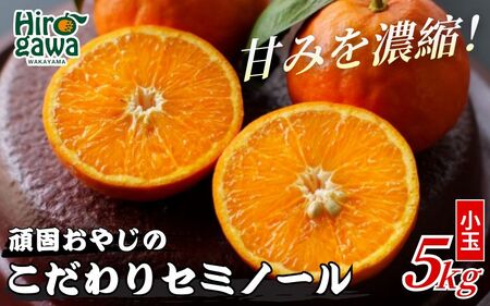 セミノールオレンジ 5kg（小さめサイズ混合）　※4月中旬～5月中旬頃より順次発送予定　【krf016-s-5A】