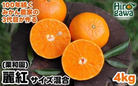 麗紅 れいこう 4kg / オレンジ 甘い 和歌山 有田 柑橘 ※2027年2月中旬〜3月下旬に順次発送 【krw012-r-4】