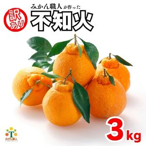 【先行予約】 訳あり 不知火 3kg  しらぬい かんきつ 柑橘 みかん 蜜柑 でこぽん おやつ きず 傷 ふぞろい 不揃いフルーツ 果物 くだもの 果実 愛媛県 愛南町 みかん職人武田屋