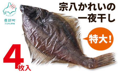 【数量限定】宗八かれいの一夜干し 4枚入 冷凍 カレイ 北海道 カレイ かれい 一夜干し 干物