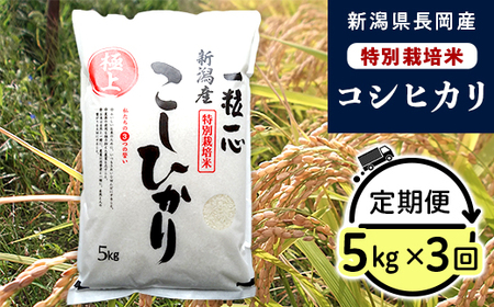 48-8N053【3ヶ月連続お届け】新潟県長岡産特別栽培米コシヒカリ5kg