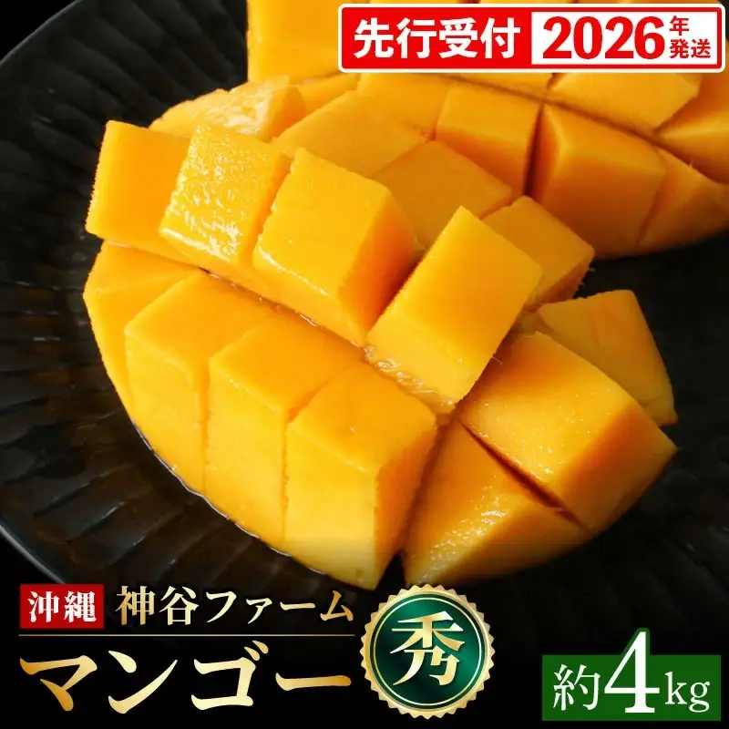 【化粧箱入】【先行受付・2026年発送】神谷ファームのマンゴー（秀）約4kg - 先行予約 沖縄県産 産地直送 南国フルーツ 旬の味覚 季節の果物 贈り物 ギフト 沖縄県 八重瀬町