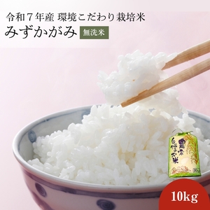 【10kg】【令和7年産】近江米みずかがみ 無洗米 特A受賞歴 近江米みずかがみ