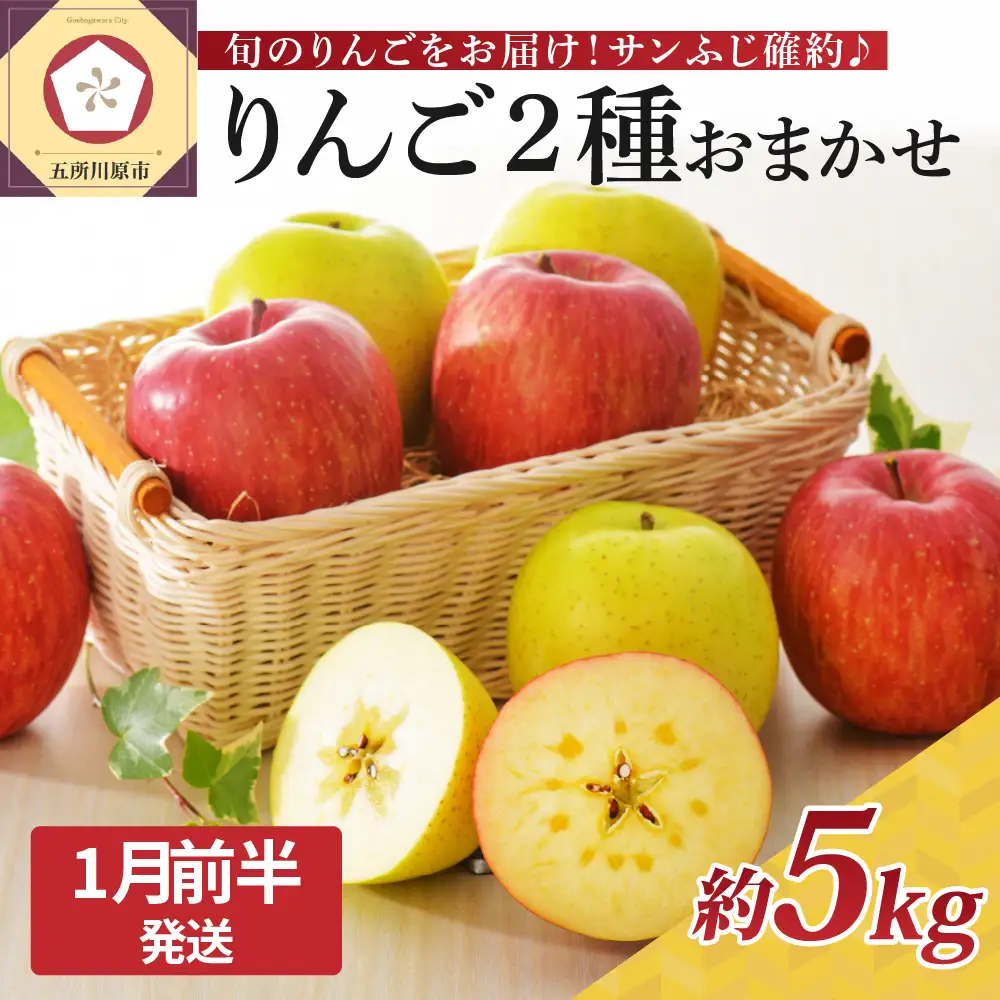 【2027年1月前半発送】 りんご 青森産 約5kg サンふじ 確約 品種おまかせ2種以上 贈答用 特選～特秀