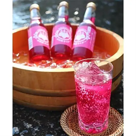 赤しそサイダー　　250ml　×12本_飲料・ドリンク 炭酸飲料 ジュース _【配送不可地域：離島】【1004051】