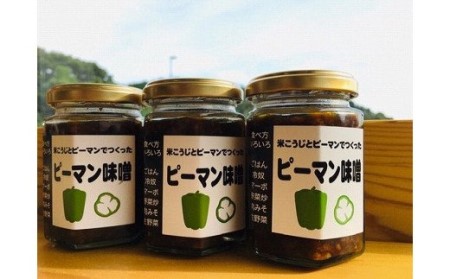 お日さまたっぷり栄養満点！万能調味料「ピーマン味噌」★あんずの里[H0049]