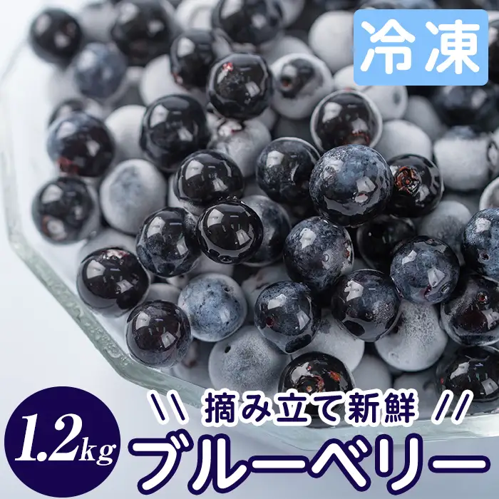 A-050 霧島市産ブルーベリー1.2kg(冷凍)【霧島農産加エグループふきのとう】霧島市 ブルーベリー 冷凍 新鮮 フルーツ