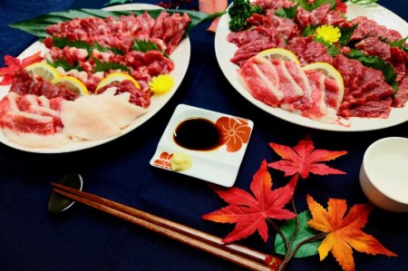 熊本県産馬刺しセット約1.1ｋｇ（盛合せ） ※タレ付 _U118-0013