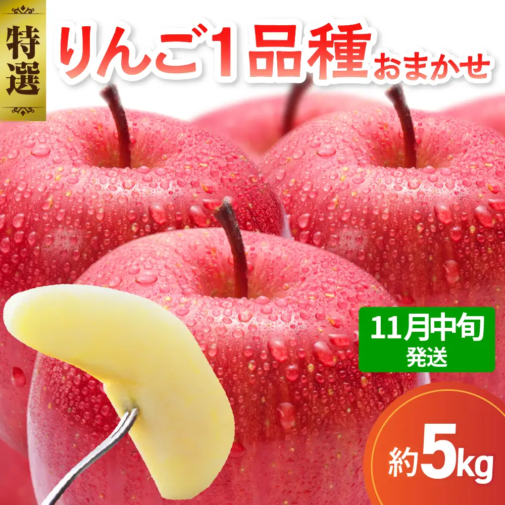 【2026年11月中旬発送】【特選】旬の美味しい りんご 約5kg 青森産 【おまかせ1品種】りんご