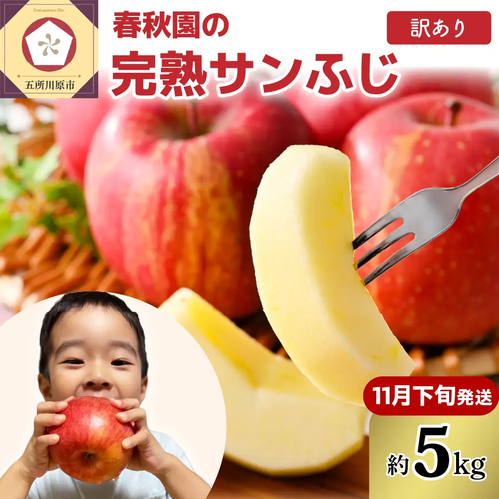 りんご　5kg【2026年11月下旬発送】訳あり青森りんご家庭用完熟サンふじ