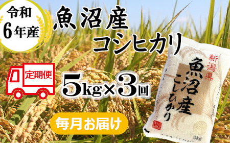 ※使用しない 33P388BE 令和6年産 魚沼産コシヒカリ 定期便 5kg×3回【3か月連続お届け】（小千谷米穀）白米 魚沼 米 定期便