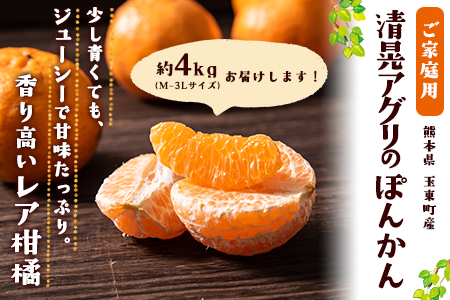 『清晃アグリ』のご家庭用ポンカン 約4kg(M-3Lサイズ)《12月中旬-1月中旬頃出荷》