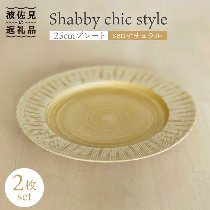 【波佐見焼】Shabby chic style 25cm プレート 2枚セット（senナチュラル） 食器 皿 【和山】 [WB104]  波佐見焼