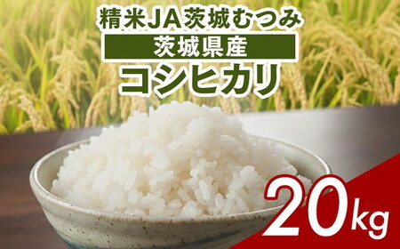【令和8年産】茨城県産コシヒカリ20kg（10kg×2袋）精米JA茨城むつみ _CL06 