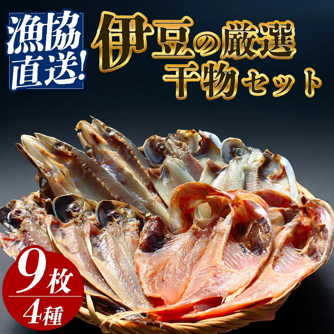 漁協直送！ 干物詰め合わせ　【 干物 】