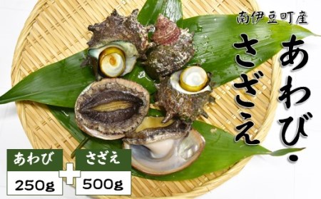 あわび・さざえセット[Ａ]