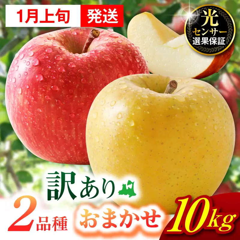 【2027年1月上旬発送】【訳あり】 旬の美味しい りんご 約10kg 青森産 【おまかせ2品種】 りんご