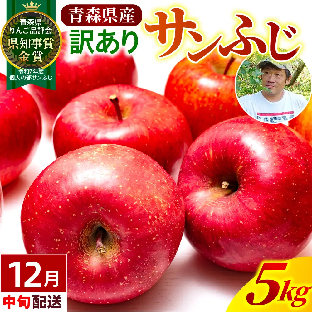 【2026年12月中旬発送】【訳あり】 りんご 約5kg 青森県産 サンふじ 家庭用 りんご