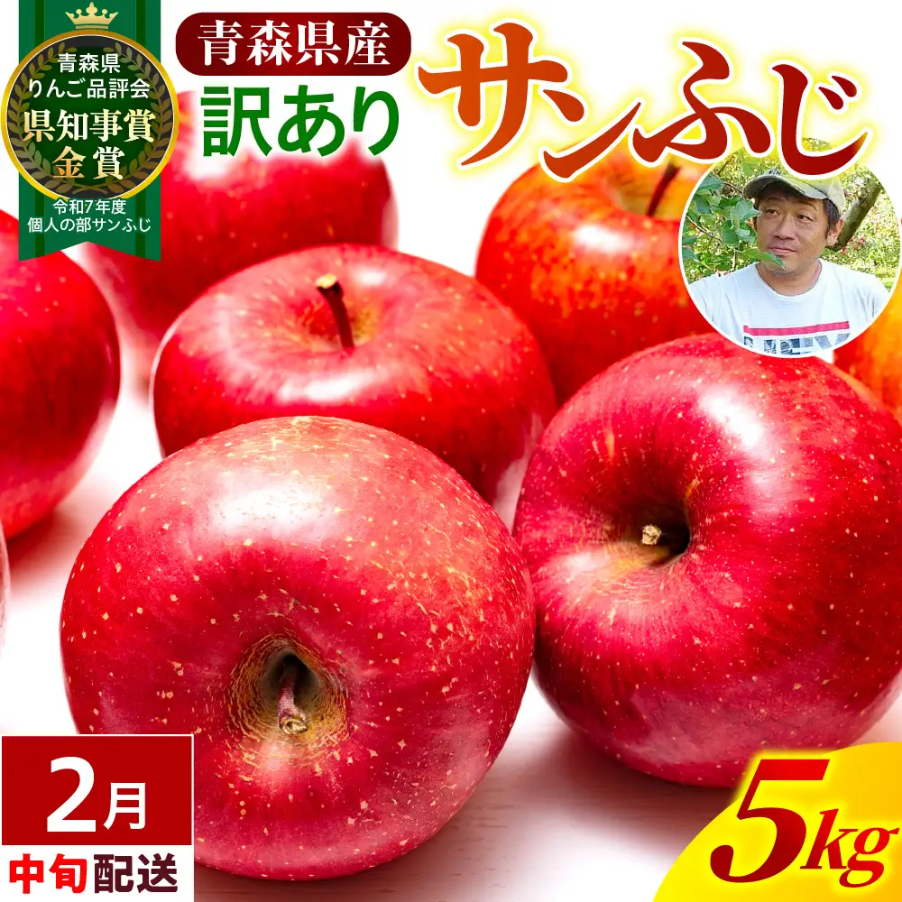 【2027年2月中旬発送】【訳あり】 りんご 約5kg 青森県産 サンふじ 家庭用 りんご