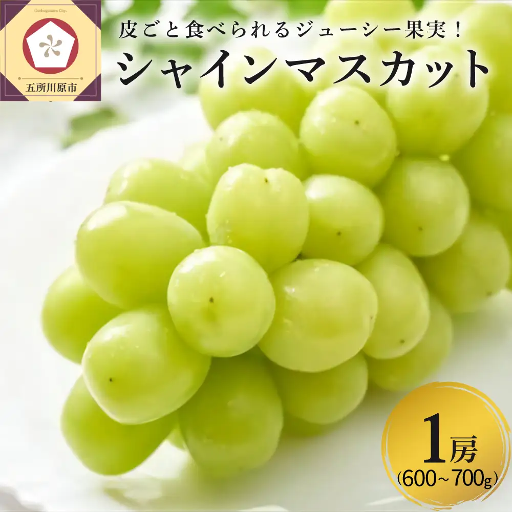 【2026年11月上旬発送】 青森産 シャインマスカット 1房 (3～4L・600～700g程度) 大粒