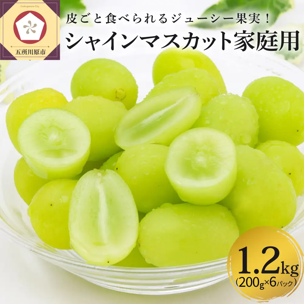 【2026年12月上旬発送】 青森産シャインマスカット 「家庭用カップ入り」 約1.2kg (200g×6カップ)
