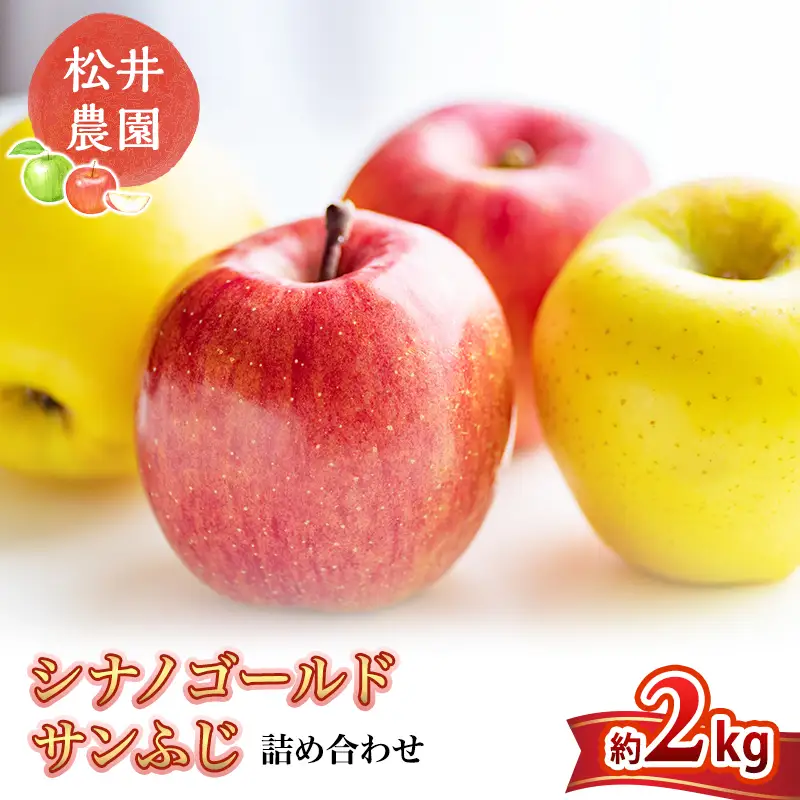 りんご サンふじ シナノゴールド 詰め合わせ 約2kg リンゴ